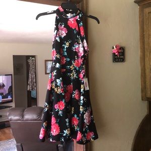B. Darling size 5/6 NWT Summer Dress
